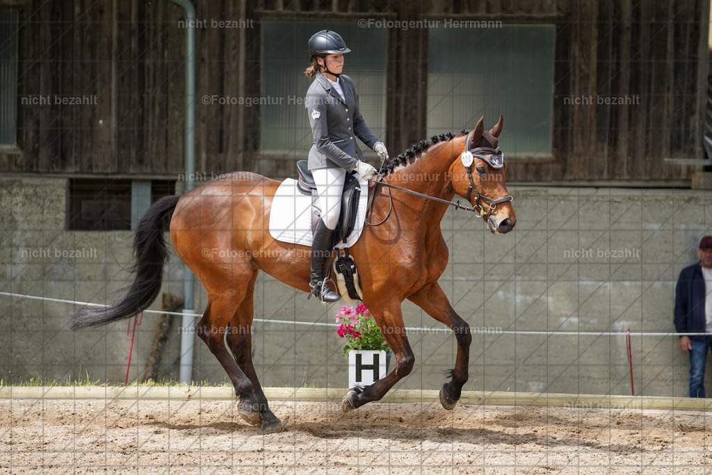 20240519-FAH05282 | Turnierbilder Niederseeon 2024, Vielseitigkeitsdressur, Reitsportbilder aus dem Landkreit Ebersberg, Gut Steinsee, RC Steinsee, Fotoagentur Herrmann