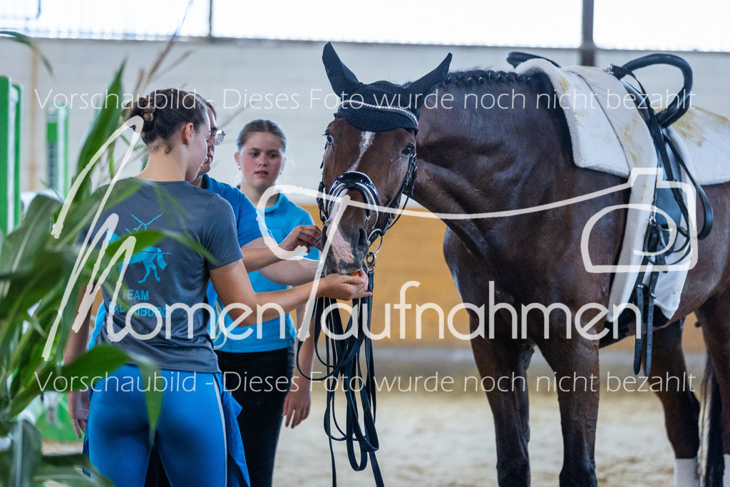 GS-NS-113 | MomenTaufnahmen Pferdesportfotos