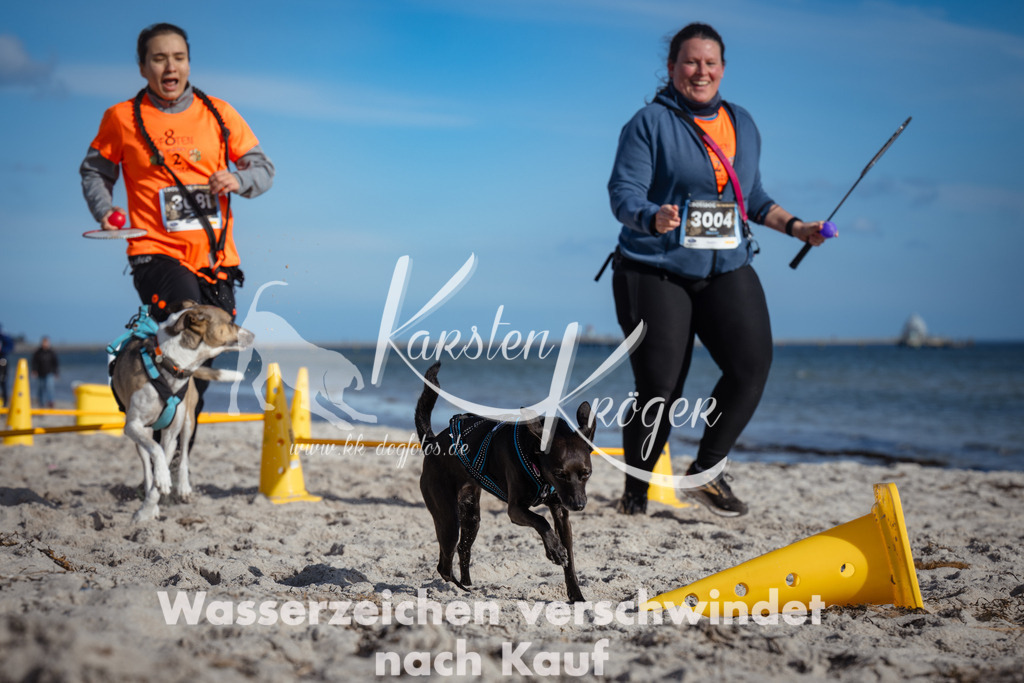 1339_ZZ92454 | kk-dogfotos