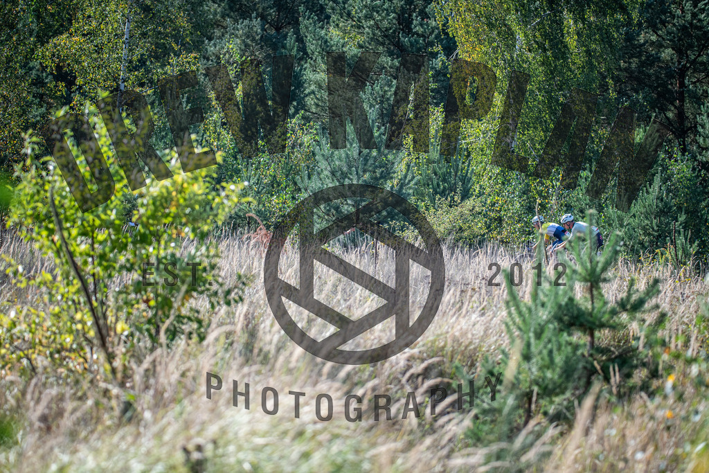 DKP-1531 | Drew Kaplan Photography