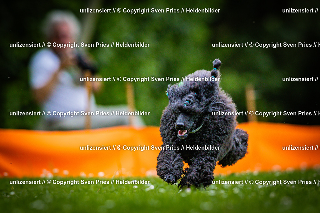 Sven Pries | 2025-05-29 - Pudelrennen KA-Durlach - Realisiert mit Pictrs.com