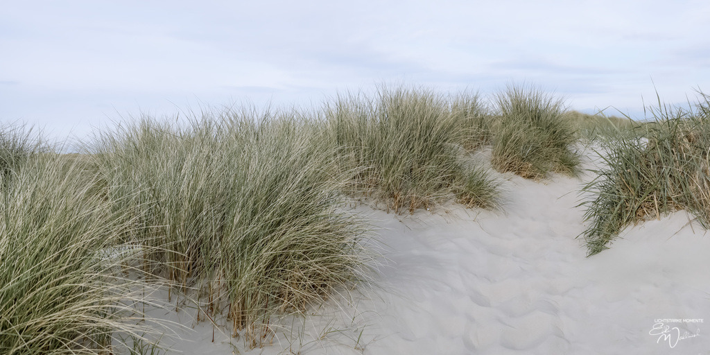 20240505-185042 NORDSEE SPO _090-1 Kopie | Herzlich willkommen auf meiner Seite! Ich bin Elke Wallnisch, Deine Fotografin für lichtstarke Momente. Der Name steht für alles, was mich mit der Fotografie verbindet: Das Licht und seine machtvolle Wirkung auf eine Situation oder unsere Stimmung - Realisiert mit Pictrs.com