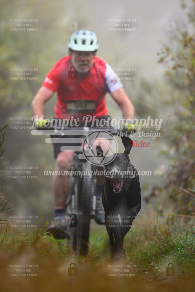 MompixPhotography_20TSB_E4_Bike-138 | PayLife