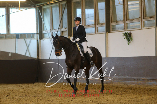 IMG_7813 | Turniersportfotografie; Pferdefotografie; Dressurfotografie