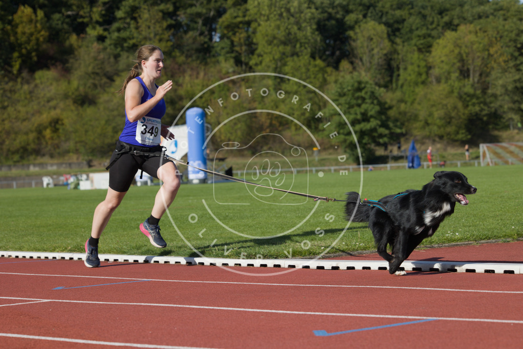 0L8A9590 | Hundefotografie, Tierfotograf, Pfotenfotografie, Fotoshooting Hund, Hunde Portrait, Hundesport, Hundeportraits, Heideshooting, Hunde, Sportfotograf, Hundefotograf, Turnierhundsport, THS,  - Realisiert mit Pictrs.com
