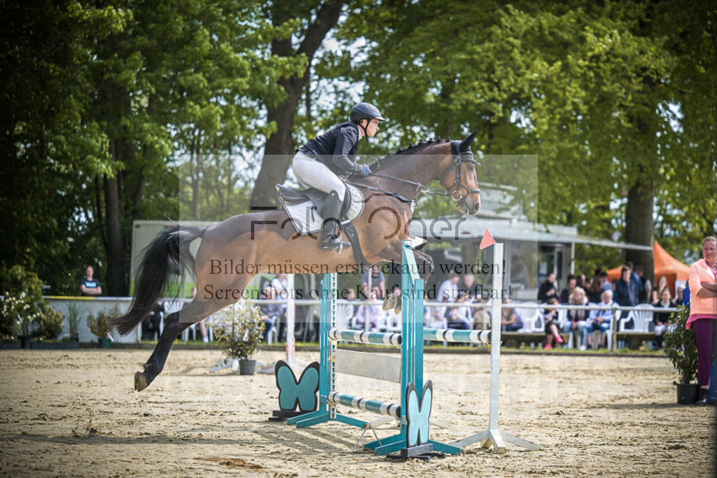 DOS_0589 | Entdecke hochwertige Reitturnierfotos von Foto Oger. Professionell, emotional und authentisch – jetzt Lieblingsmomente im Shop bestellen.Deutschlandweite Turnierfotografie. - Realisiert mit Pictrs.com