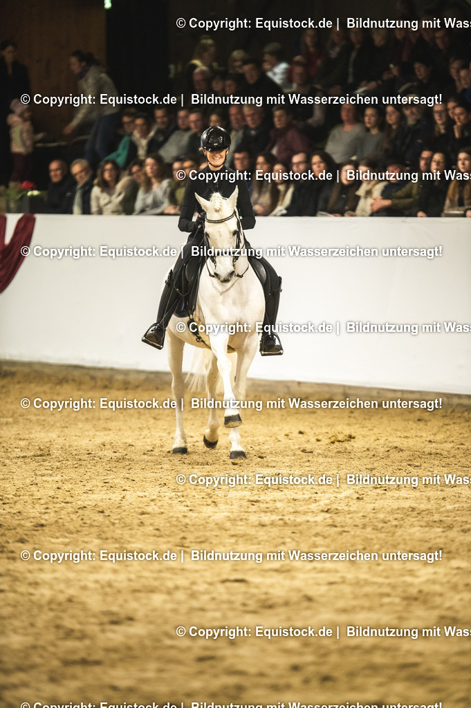 20240302_Hengstvorstellung_Marbach_TOMsPiC_1115 | equistock