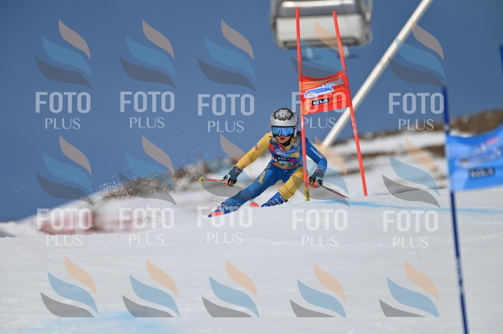 BGV_6661 | holidayphoto