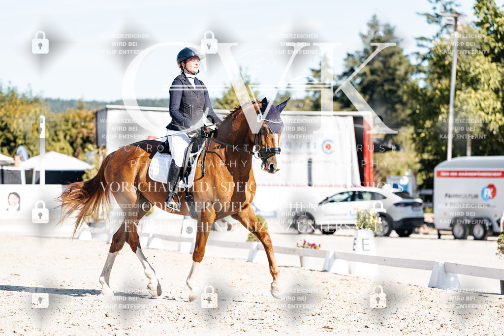 CK907704 | Turnierfotografie Pferdefotografie Trier Rheinland-Pfalz Pferdesport Reitsport Tierfotografie Sportfotografie Pferdevideo Pferdevideografie Equestrianvideography equestrianphotography  - Realisiert mit Pictrs.com