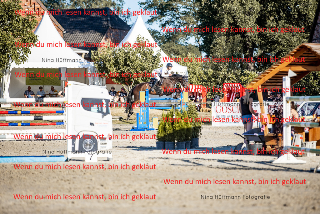 BK1A8364 | Turnierbilder Turnierfotos Nina Hüffmann Turnierfotografie Pferdefotografie Tierzeichnung Haustierzeichnung Pferdezeichnung Hundezeichnung Videograf  - Realisiert mit Pictrs.com