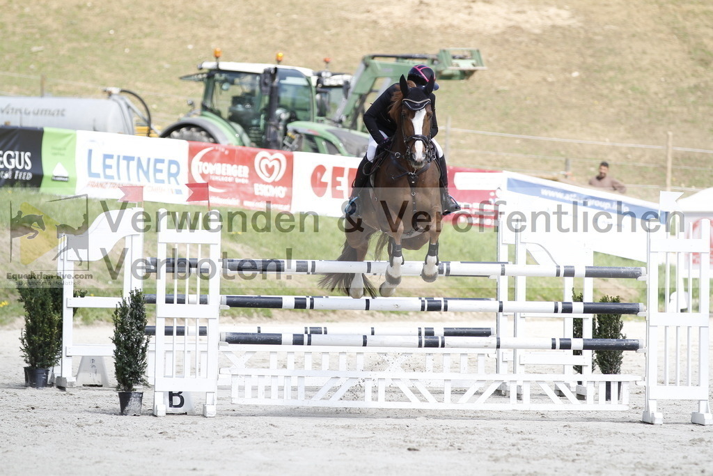 _MG_7249 | equestrian-live-com