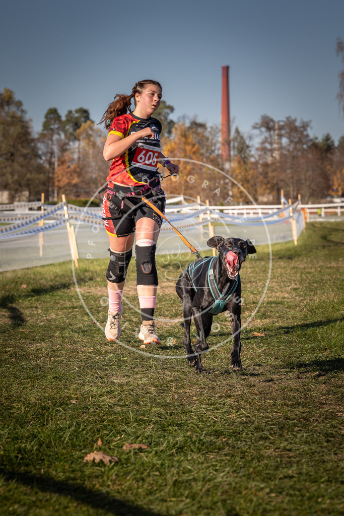 CaniXpix_0L8A8651 | Hundefotografie, Tierfotograf, Pfotenfotografie, Fotoshooting Hund, Hunde Portrait, Hundesport, Hundeportraits, Heideshooting, Hunde, Sportfotograf, Hundefotograf, Turnierhundsport, THS,  - Realisiert mit Pictrs.com