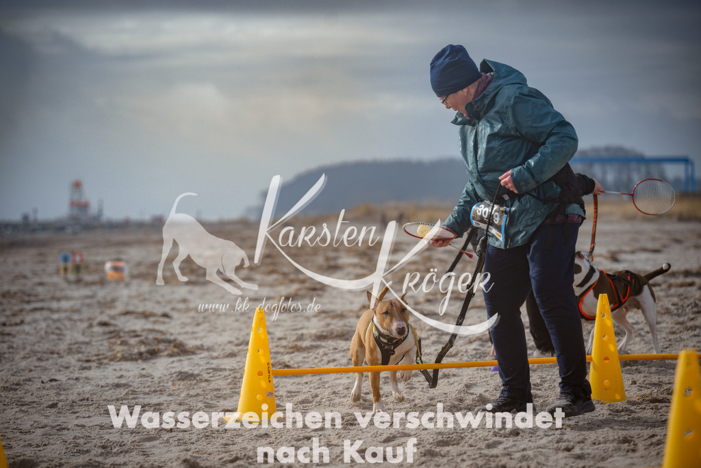 1118_ZZ97674 | kk-dogfotos