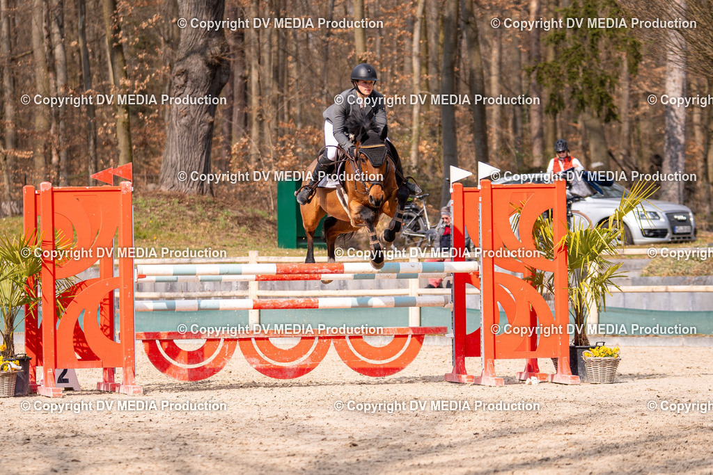 Kranichstein Tag 2-1931 | dv-media-shop - Realisiert mit Pictrs.com