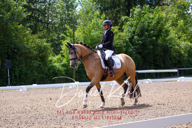 DKP40921 | Turnierfotos kaufen im Webshop von Daniel Kuhl Photography – entdecke professionelle Reitsportfotos aus Turnieren & Events. Hochwertige Turnierbilder online bestellen & sichern. Jetzt Fotos von Reitsportturnieren kaufen!