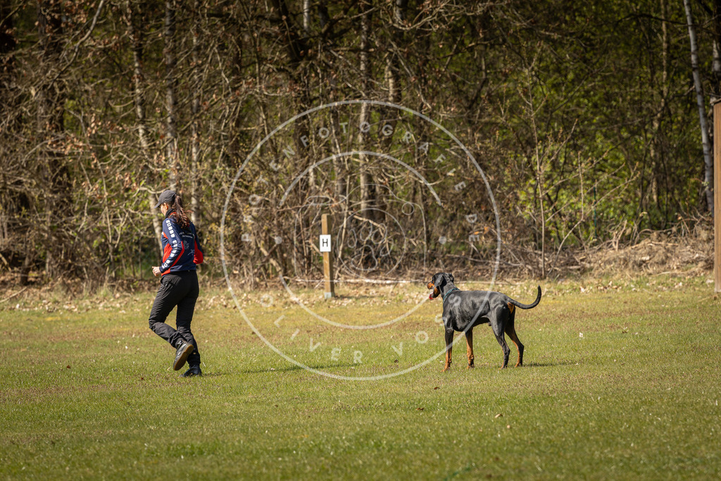 Pfotenfotografie_DV3A0787 | Hundefotografie, Tierfotograf, Pfotenfotografie, Fotoshooting Hund, Hunde Portrait, Hundesport, Hundeportraits, Heideshooting, Hunde, Sportfotograf, Hundefotograf, Turnierhundsport, THS,  - Realisiert mit Pictrs.com