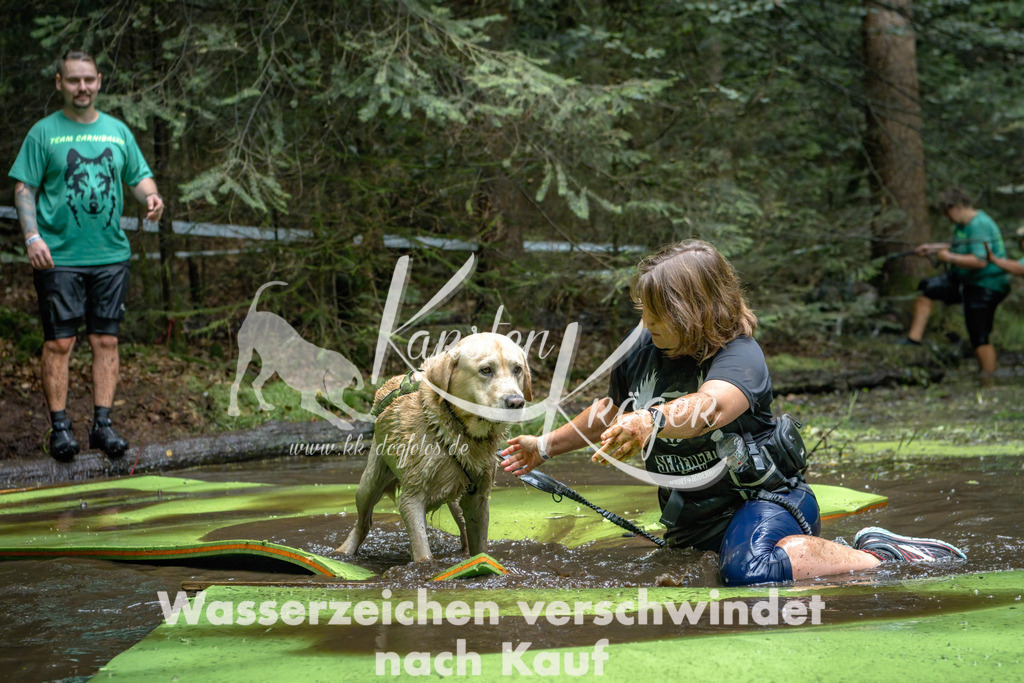 1511_ZZ94602-Bearbeitet | kk-dogfotos