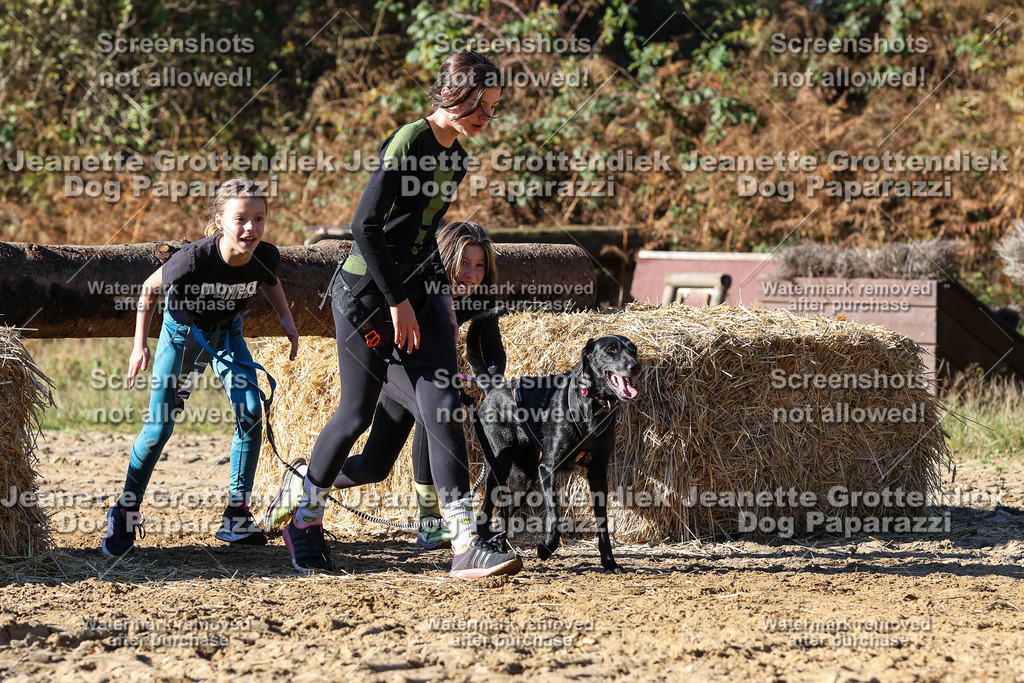 Dog Paparazzi - Strongdog 10-25-2542 | Dog Paparazzi Jeanette Grottendiek Fotografie & Videografie - Realisiert mit Pictrs.com