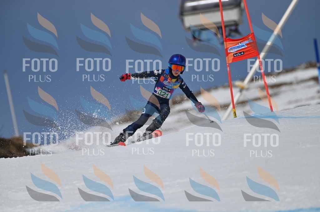 BGV_6339 | holidayphoto