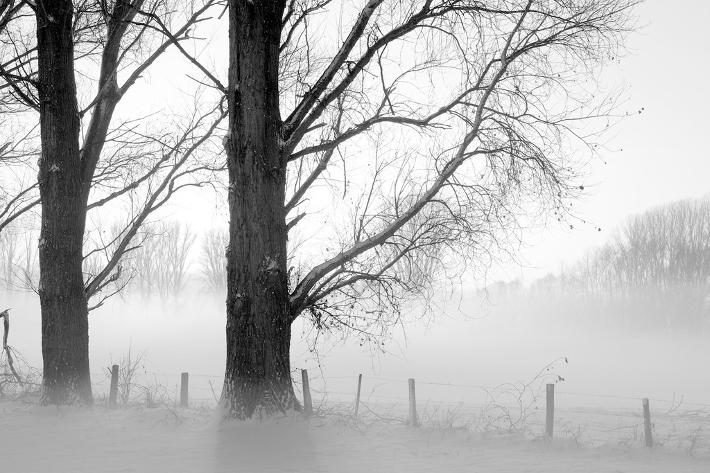 101220-130 | Europa, DEU, Deutschland, Nordrhein Westfalen, NRW, Rheinland, Niederrhein, Xanten, Naturschutzgebiet Xantener Altrhein, Bislicher Insel, Baeume, Pappeln, Pappelbaeume, Sonnenuntergang, Schnee, Winter, Nebel, Bodennebel, Kategorien und Themen, Natur, Umwelt, Landschaft, Jahreszeiten, Stimmungen, Landschaftsfotografie, Landschaften, Landschaftsphoto, Landschaftsphotographie, Natur, Naturfoto, Naturfotos, Naturfotografie, Naturphoto, Naturphotographie, Landschaft, Landschaften, Landschaftsfoto, Landschaftsfotografie, Landschaftsphoto, Landschaftsphotographie

[Fuer die Nutzung gelten die jeweils gueltigen Allgemeinen Liefer-und Geschaeftsbedingungen. Nutzung nur gegen Verwendungsmeldung und Nachweis. Download der AGB unter http://www.image-box.com oder werden auf Anfrage zugesendet. Freigabe ist vorher erforderlich. Jede Nutzung des Fotos ist honorarpflichtig gemaess derzeit gueltiger MFM Liste - Kontakt, Uwe Schmid-Fotografie, Duisburg, Tel. (+49).2065.677997, 
archiv@image-box.com, www.image-box.com] - Realisiert mit Pictrs.com