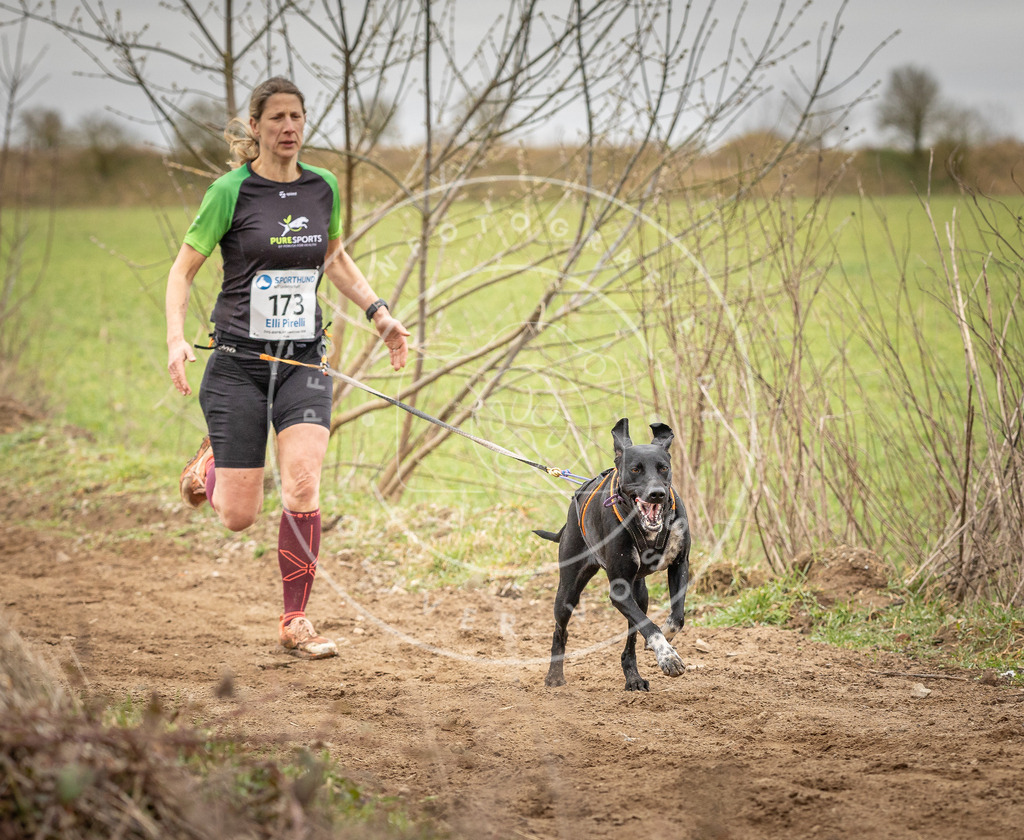 DV3A1985 | Hundefotografie, Tierfotograf, Pfotenfotografie, Fotoshooting Hund, Hunde Portrait, Hundesport, Hundeportraits, Heideshooting, Hunde, Sportfotograf, Hundefotograf, Turnierhundsport, THS,  - Realisiert mit Pictrs.com