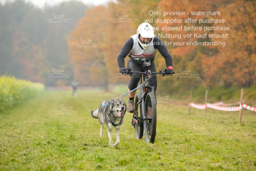 Visbeck_Sa_Bike-152 | stephaniefillaphotographie - Realisiert mit Pictrs.com