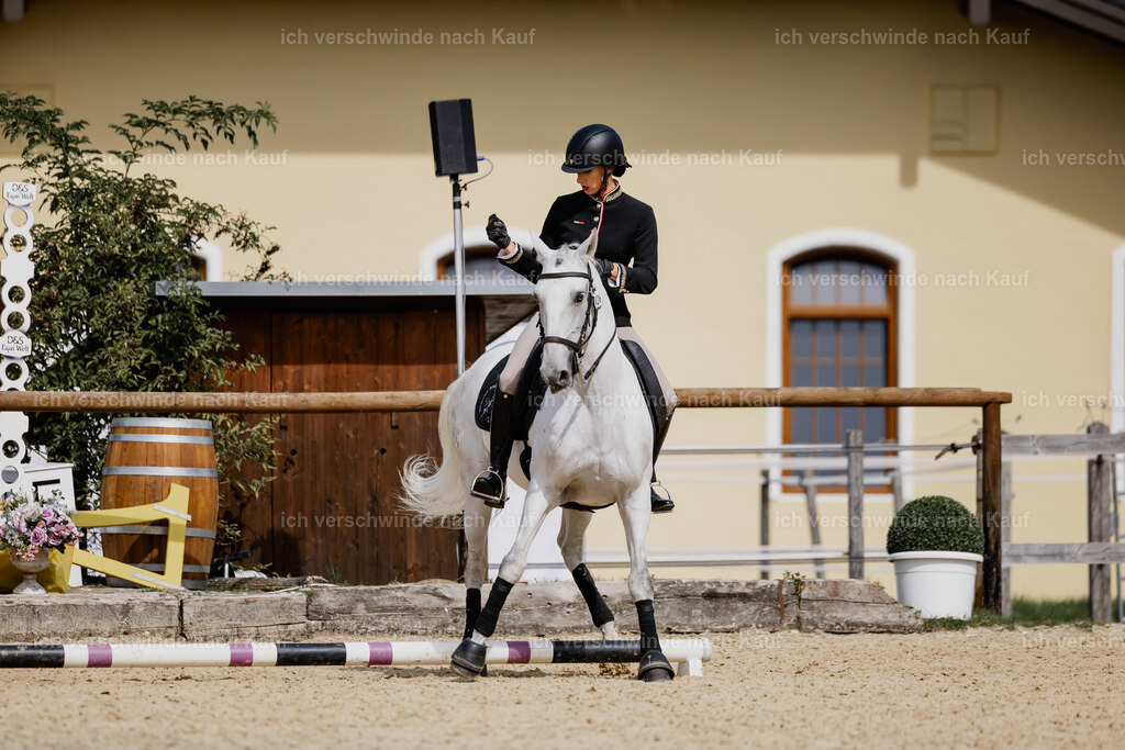 Virginie12FHC2025-20068 | working equitationturnier fotograf videograf stoibphotography marixx film working equitation deutschland reitsport turnierfotografie eventfotografie equestrian events