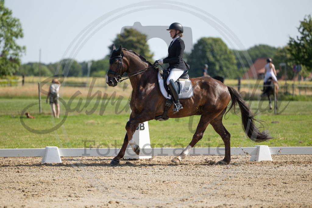 994A3776 | sabrinanicolaifotografie - Realisiert mit Pictrs.com