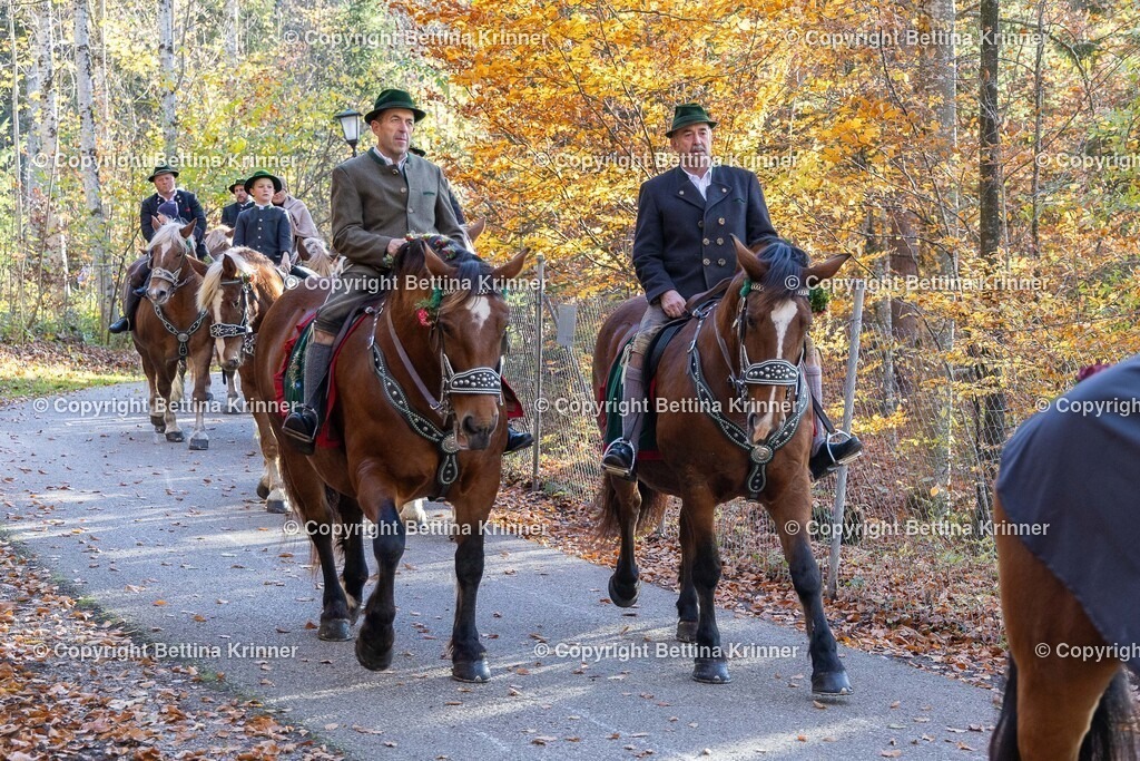 LL24-295 | foto-bettina-krinner - Realisiert mit Pictrs.com