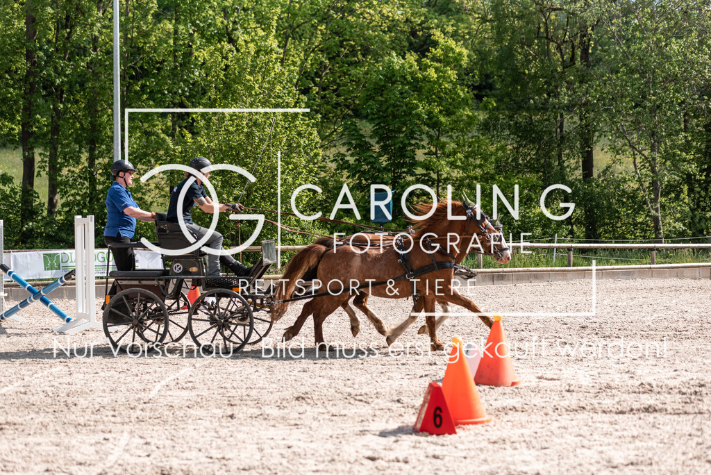 DSC_2239 | Turnierfotografin Carolin Gieschke, Turnierfotografie Carolin G Fotografie, Turnierfotos Kirchheim/Teck, Esslingen, Stuttgart, Bodenseekreis