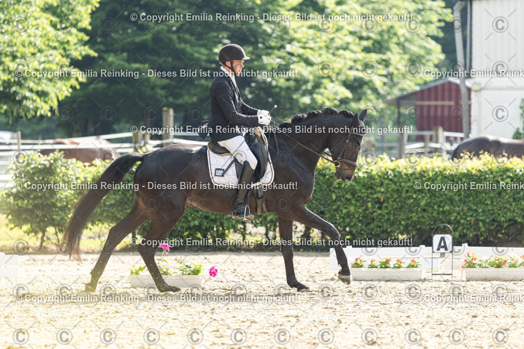 CL5A4183 | Emilia Reinking Fotografie - Realisiert mit Pictrs.com