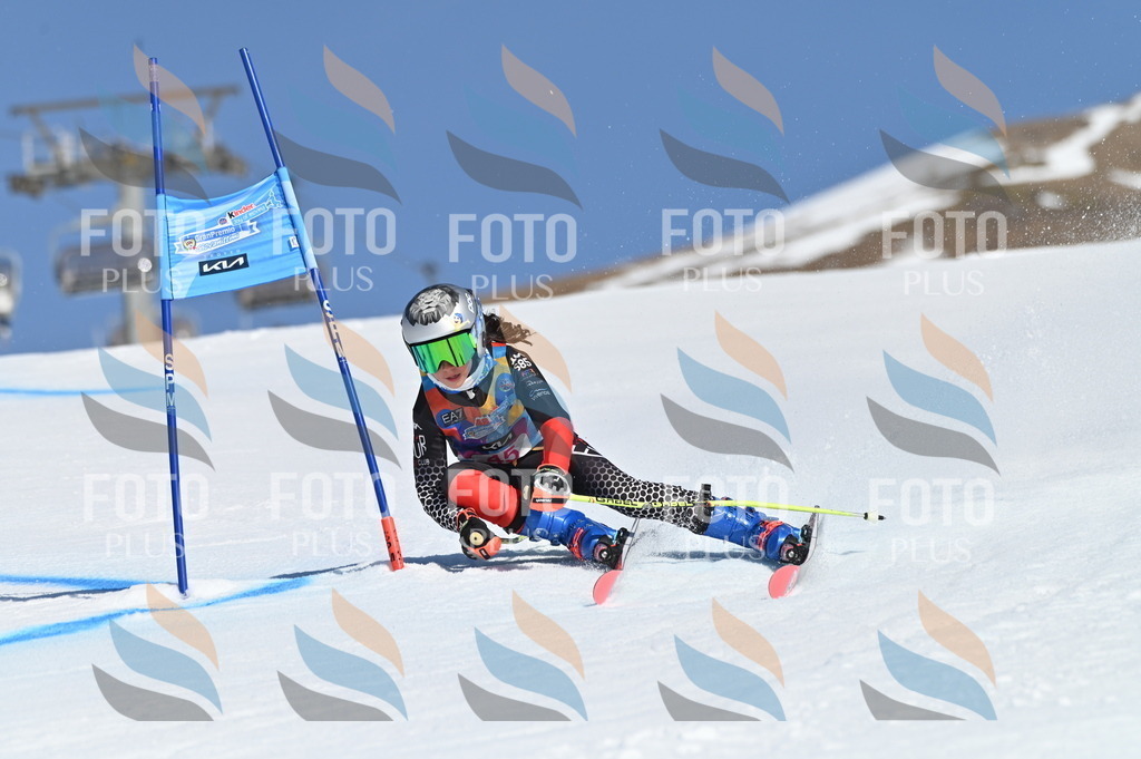 BGV_8443 | holidayphoto