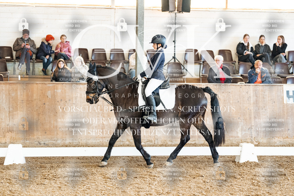 CK900289 | Turnierfotografie Pferdefotografie Trier Rheinland-Pfalz Pferdesport Reitsport Tierfotografie Sportfotografie Pferdevideo Pferdevideografie Equestrianvideography equestrianphotography  - Realisiert mit Pictrs.com