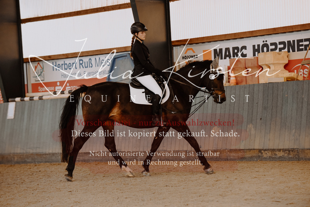 DSC_7562 | Pferde- und Turnierfotografie in Westsachsen. Pferdeportraits, Auftragszeichnungen und intuitive Kunst.