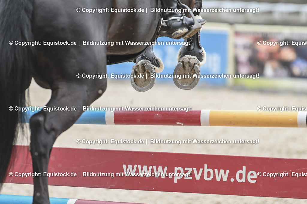 20230514_CCI4_Springen_0124 | equistock