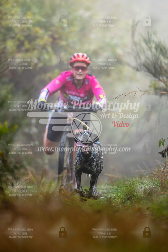 MompixPhotography_20TSB_E4_DS1-15 | PayLife