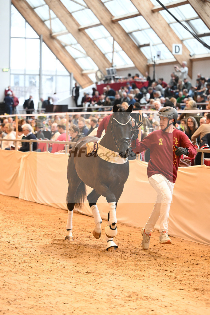 Kat-Nr. 68 Secret_Reich_1232431 | hf-fotografie - Realisiert mit Pictrs.com