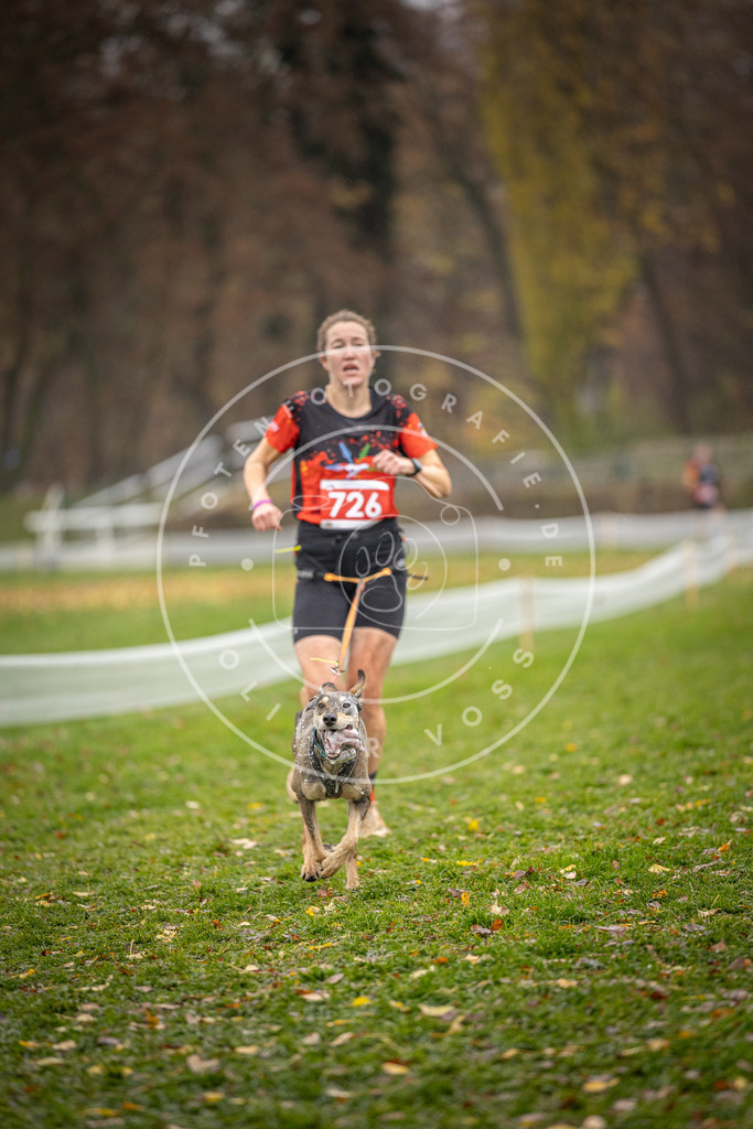 CaniXpix_DV3A9275 | Hundefotografie, Tierfotograf, Pfotenfotografie, Fotoshooting Hund, Hunde Portrait, Hundesport, Hundeportraits, Heideshooting, Hunde, Sportfotograf, Hundefotograf, Turnierhundsport, THS,  - Realisiert mit Pictrs.com