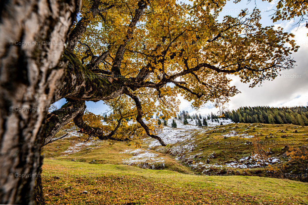 Fotos_Copyright_Chri_Fischbacher_Druck-422 | Bildershop Chri Fischbacher - Realisiert mit Pictrs.com