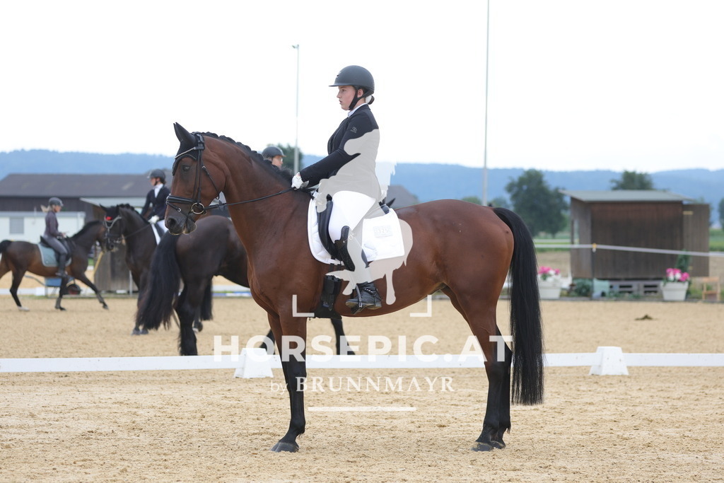 0P6A8208 | Willkommen bei Brunnmayr - Design & Fotografie – Ihrem Spezialisten für Reitturniere und Pferdeveranstaltungen in Oberösterreich, Salzburg und Bayern! Seit über 17 Jahren sind wir leidenschaftlich dabei.