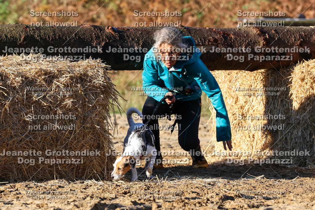 Dog Paparazzi - Strongdog 10-25-1298 | Dog Paparazzi Jeanette Grottendiek Fotografie & Videografie - Realisiert mit Pictrs.com