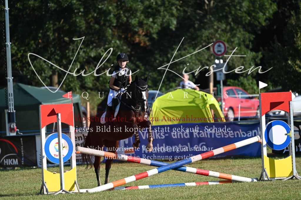 DSC_4676 | Pferde- und Turnierfotografie in Westsachsen. Pferdeportraits, Auftragszeichnungen und intuitive Kunst.