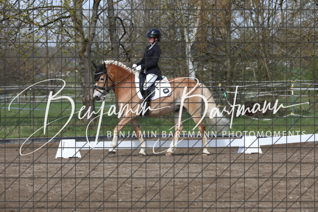 AZ2A4470 | Benjamin Bartmann Photomoments