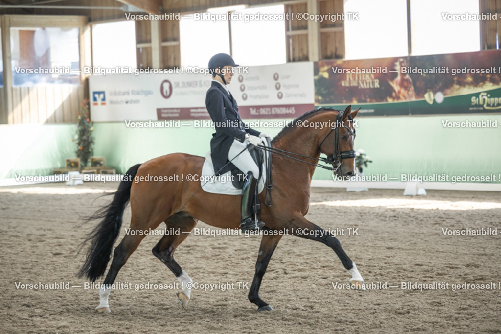 _D5A9735 | Emotionale Pferde- & People-Fotografie rund um Heidelberg, Leimen & Umgebung. Natürliche Fotos von Pferd, Mensch & Familie. Jetzt Termin sichern!