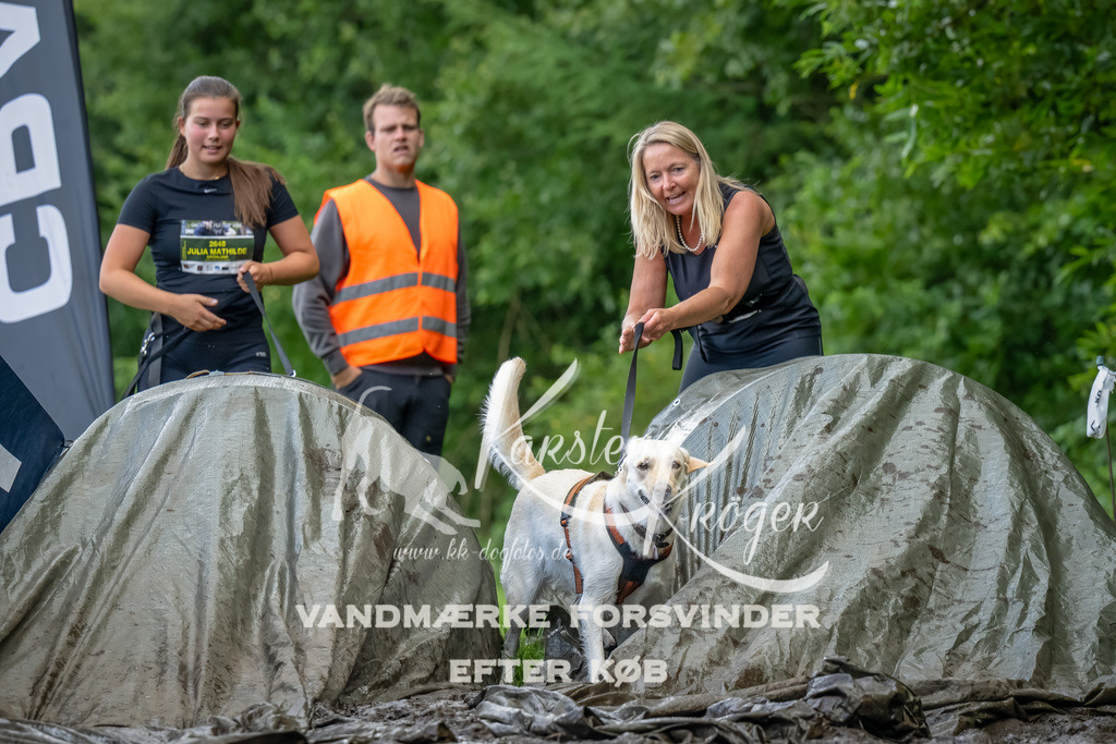 1151_ZZ94547-Bearbeitet | kk-dogfotos