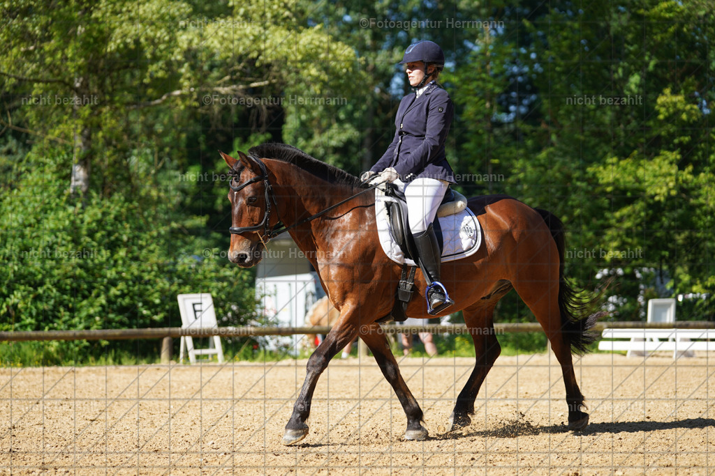 20240706-FAH04548 | Grafing Turnierfotos, Reitverein Ebersberg, Turnierfotografen Bayern, reitsportbilder, Pferdefotograf, reitsportfotograf, Sportbilder, Reitsportfotografie, Fotoagentur Herrmann, Turnierfotograf