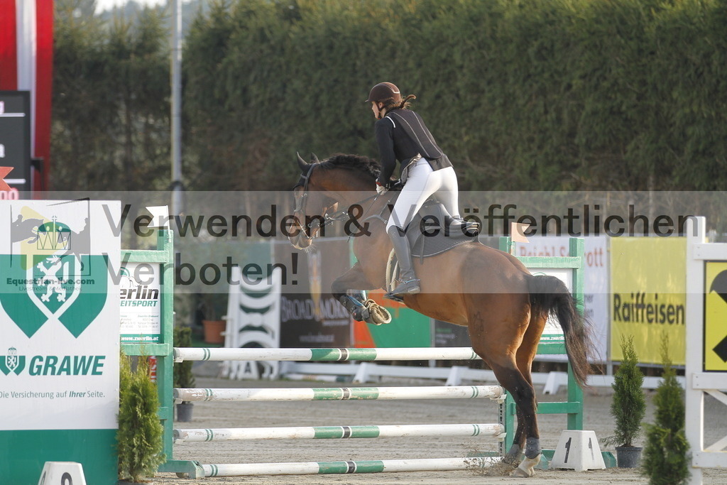 _MG_8789 | equestrian-live-com
