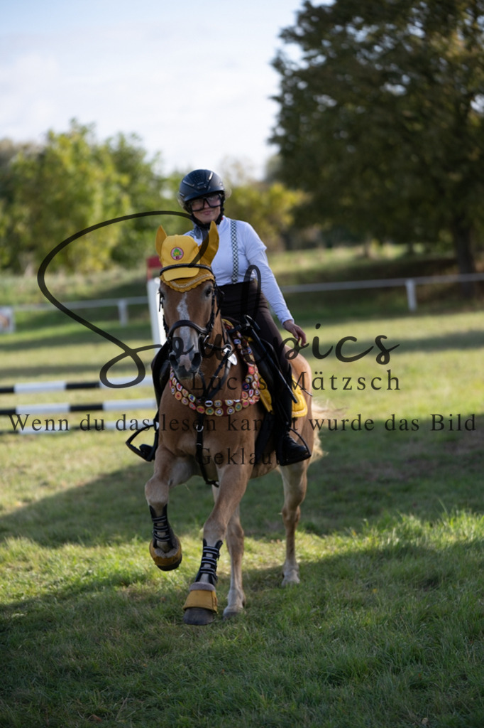 A7V06627 | Pferdefotograf