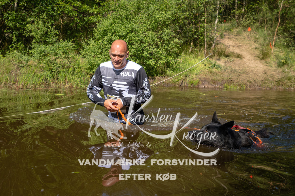 1012DKK990081 | kk-dogfotos