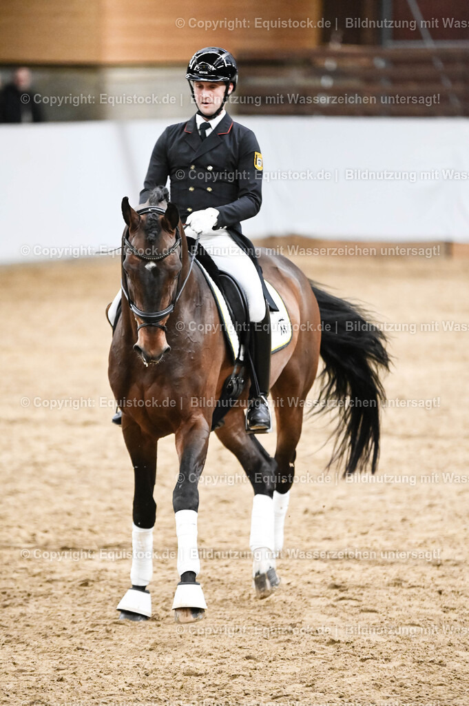 20260307_Hengstvorstellung-Marbach_0346 | equistock